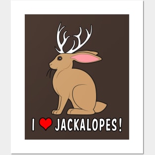 I Love Jackalopes! Posters and Art